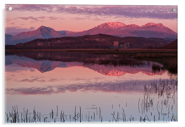 Cnicht and Moelwyn range Acrylic by Rory Trappe