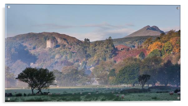 Dolwyddelan in the autumn Acrylic by Rory Trappe