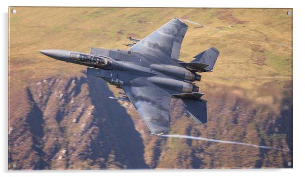USAF F15-E Low Level Acrylic by Rory Trappe