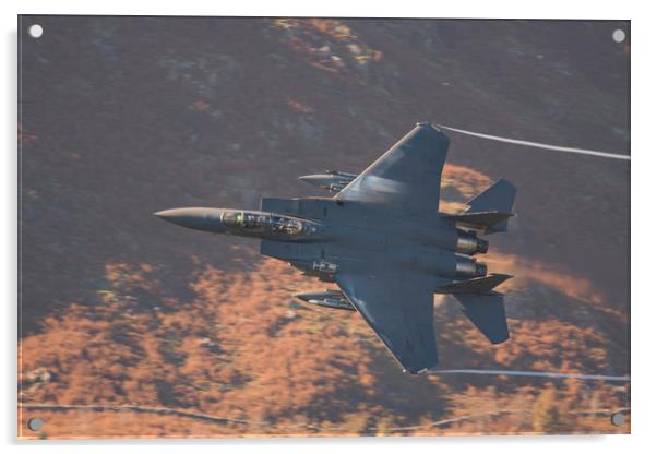 F15 on the Mach Loop Acrylic by Rory Trappe