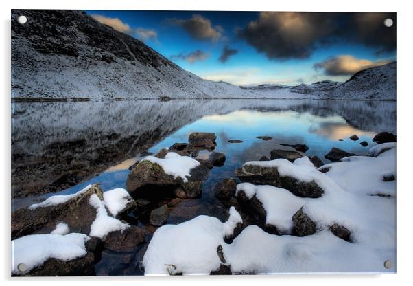 Llyn Manod shoreline Acrylic by Rory Trappe