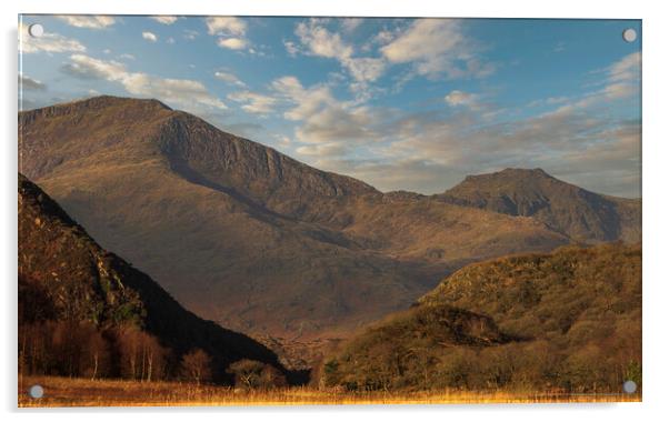 Moel Hebog and Moel yr Ogof Acrylic by Rory Trappe