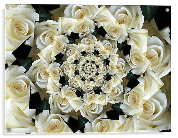 Ring O' Roses Acrylic by Jacqui Kilcoyne