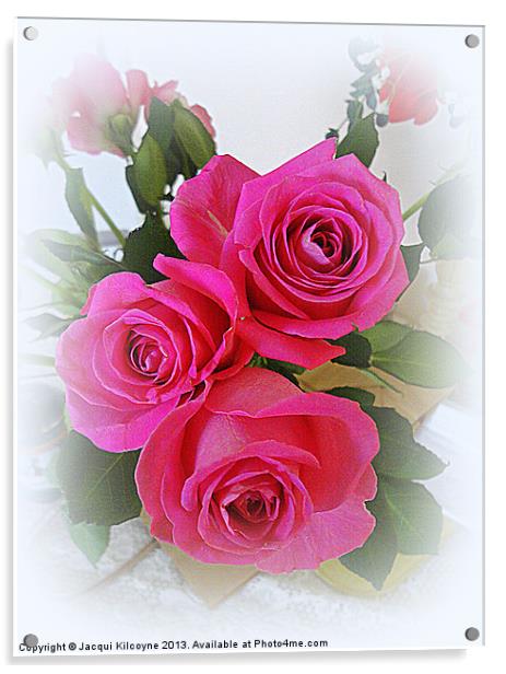 Summer Pink Roses Acrylic by Jacqui Kilcoyne