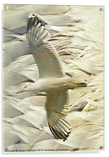 Feathers on Feathers Acrylic by Jacqui Kilcoyne