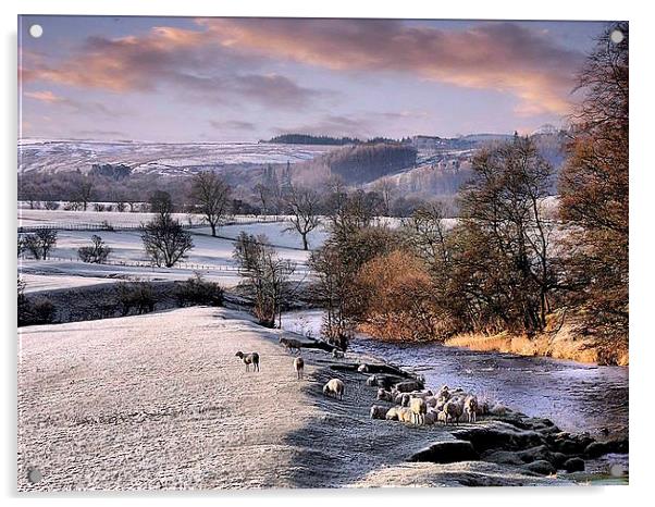 Snow in the Trough. Acrylic by Irene Burdell