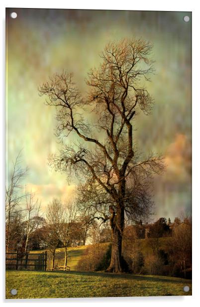 Tall tree. Acrylic by Irene Burdell