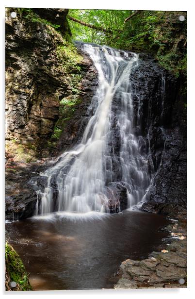 Hareshaw Linn waterfall Northumberland Acrylic by Richie Miles