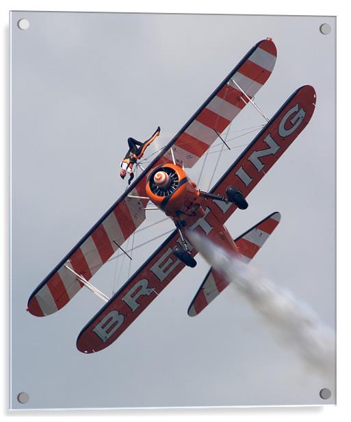 Wing Walkers Acrylic by Richie Miles