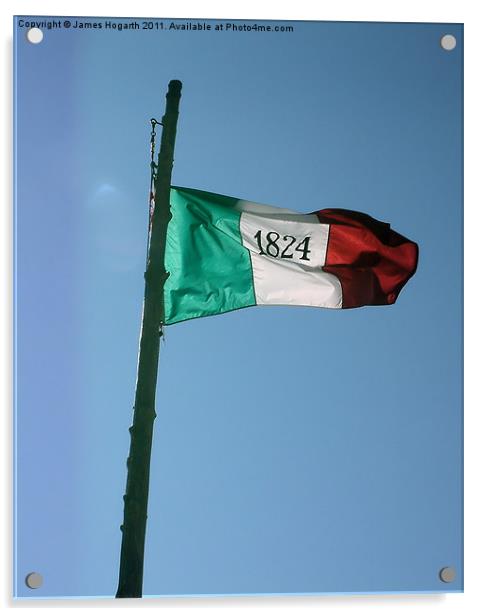 The Alamo Flag Acrylic by James Hogarth