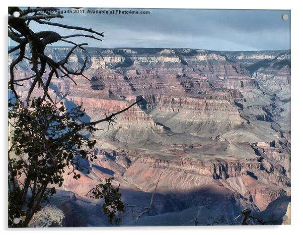 Grand Canyon Layers Acrylic by James Hogarth