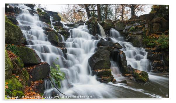 Virginia Water cascades Acrylic by Steve Liptrot