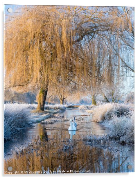 Winter in Bushy Park Acrylic by Steve Liptrot