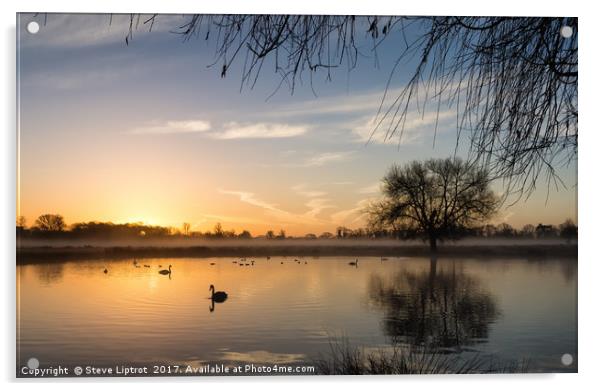 Sunrise at Bushy Park Acrylic by Steve Liptrot