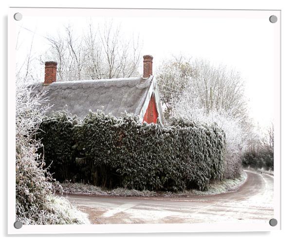 Thatched cottage after a heavy frost Acrylic by Karen Steel
