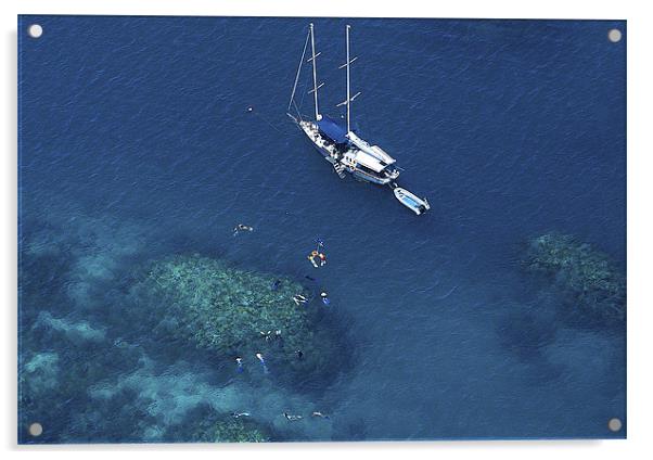 Great Barrier Reef, Australia. Snorkeling Acrylic by David McLean