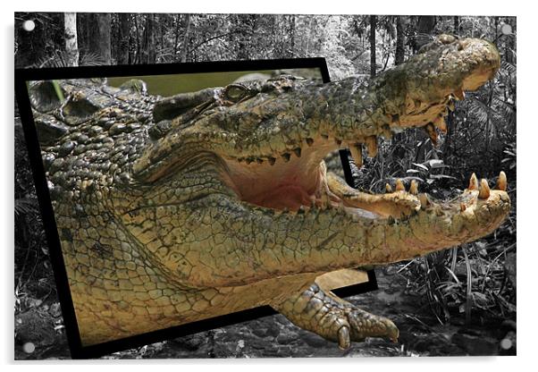 Crocodile Escape Acrylic by David McLean