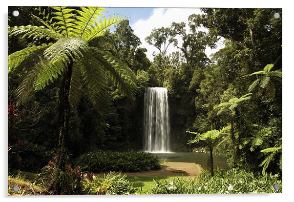 Millaa Millaa Falls Acrylic by David McLean