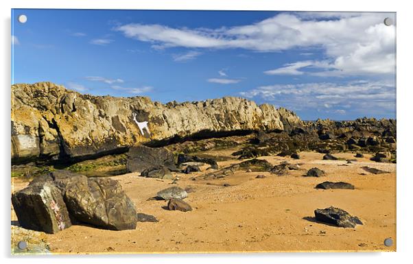 Stag Rock Beach Acrylic by Kevin Tate