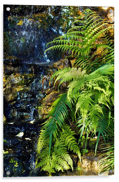Green fern waterfall. Acrylic by Kevin Tate