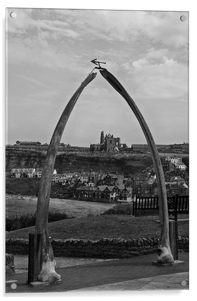 whitby whale bones Acrylic by Northeast Images