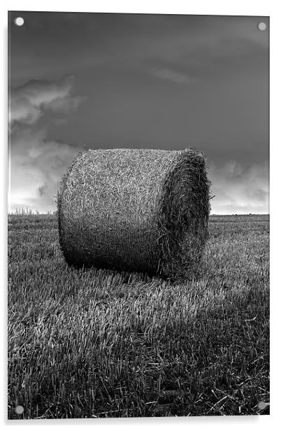 hay bale b&w Acrylic by Northeast Images