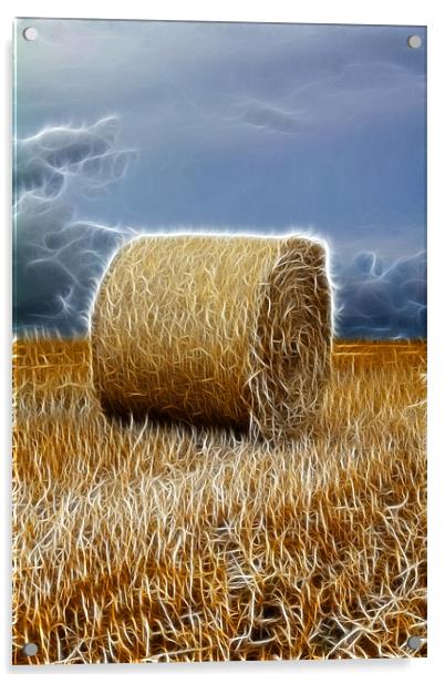 hay bale Acrylic by Northeast Images