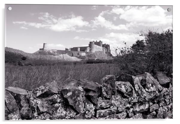 Bamburgh Castle Acrylic by Northeast Images