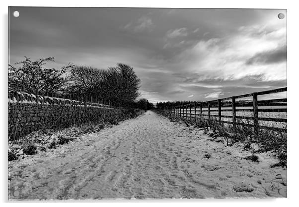 snowy path Acrylic by Northeast Images