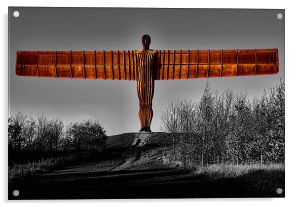 Majestic Angel of the North  Acrylic by Northeast Images