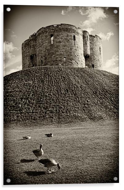 York Castle Acrylic by Northeast Images