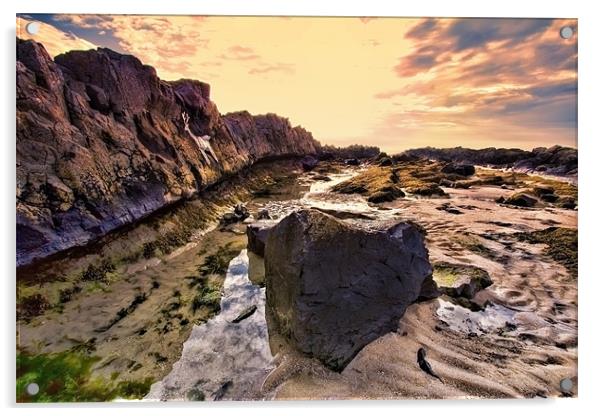 Stag Rock Acrylic by Northeast Images