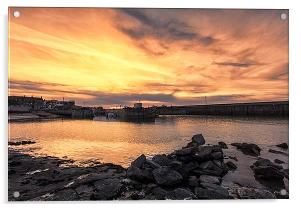 Seahouses Acrylic by Northeast Images