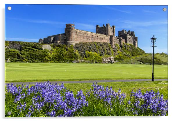 Bamburgh and Bluebells Acrylic by Northeast Images
