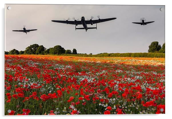 memorial flight Acrylic by Northeast Images