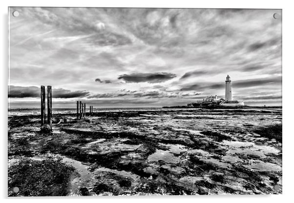 St Mary`s Lighthouse Acrylic by Northeast Images