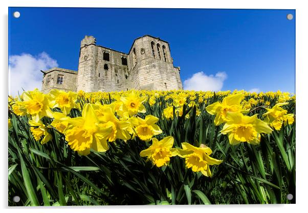  Warkworth Castle Acrylic by Northeast Images
