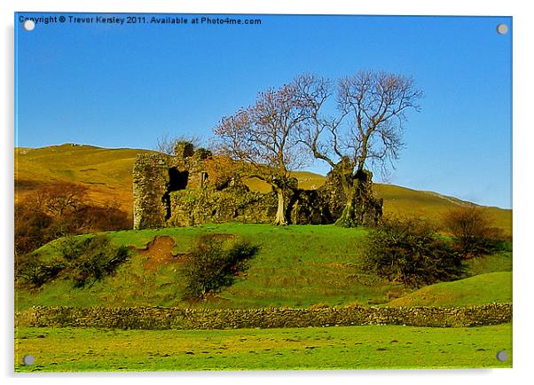 Pendragon Castle Ruins Acrylic by Trevor Kersley RIP