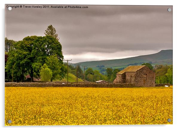 Hay Meadow - Yorkshire Dales Acrylic by Trevor Kersley RIP