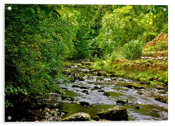 River Twiss - Yorks Dales Acrylic by Trevor Kersley RIP