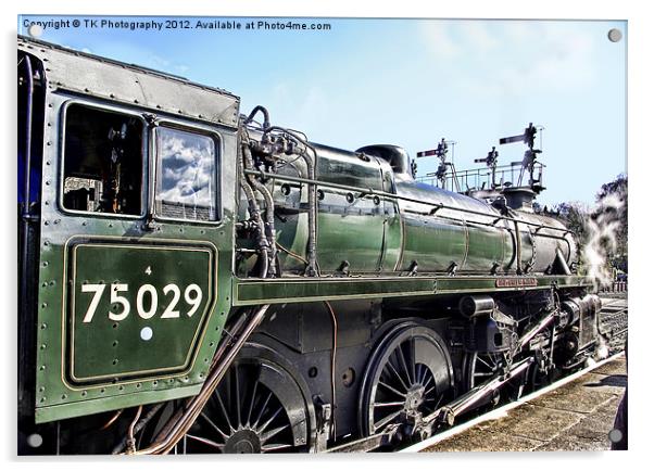 The Green Knight Locomotive Acrylic by Trevor Kersley RIP