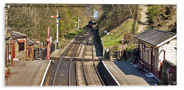 Approaching Goathland Station Acrylic by Trevor Kersley RIP