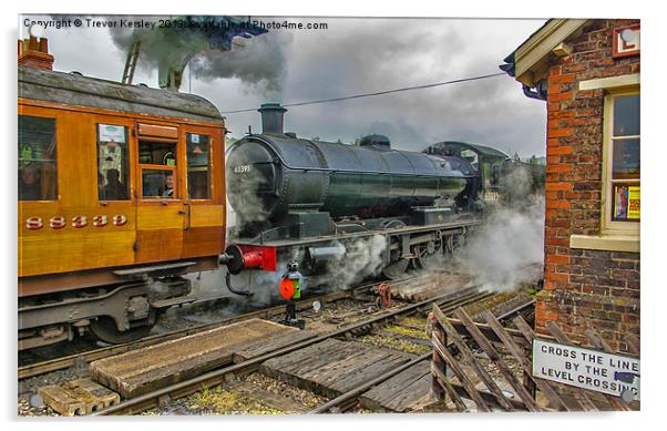 Steam at Levisham Station Crossing Acrylic by Trevor Kersley RIP