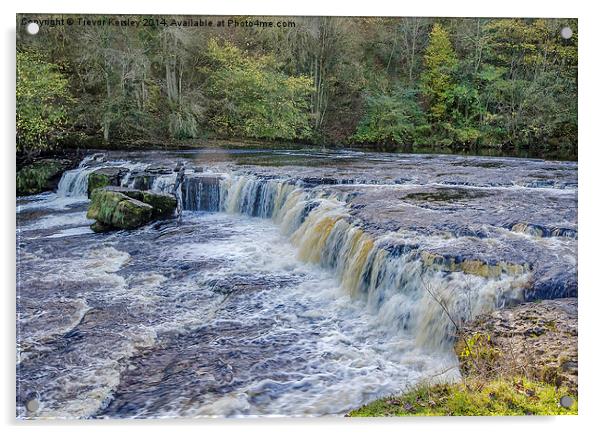 Aysgarth Falls Yorkshire Dales Acrylic by Trevor Kersley RIP