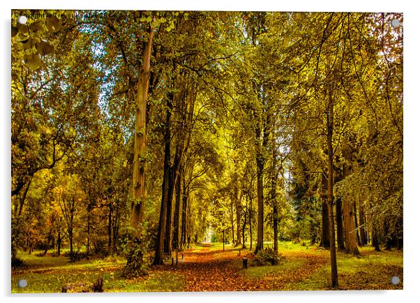 Woodland Pathway Acrylic by Trevor Kersley RIP