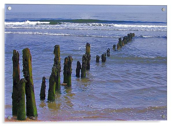 Old Groynes at Sandsend Acrylic by Trevor Kersley RIP