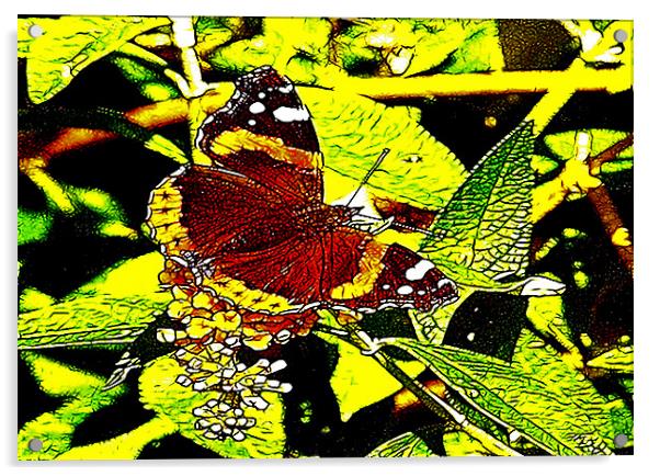 Fractal Butterfly Acrylic by Trevor Kersley RIP