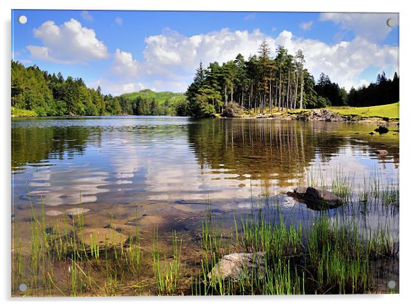 Tarn Hows, Lake District Acrylic by Jason Connolly