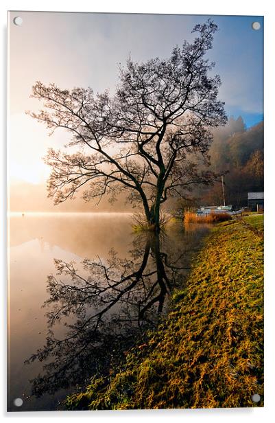 Tree Reflections, Ullswater Acrylic by Jason Connolly