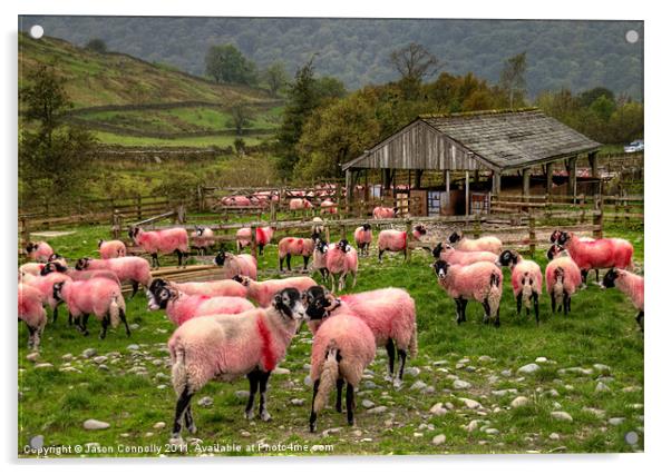 The Candy Floss Sheep Acrylic by Jason Connolly